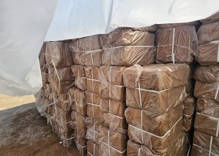 WhatsApp Image 2025-12-02 at 16.58.01_d8a7712e