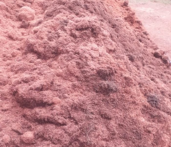 WhatsApp Image 2025-12-02 at 16.58.08_a746359a