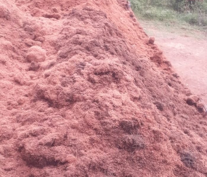 WhatsApp Image 2025-12-02 at 16.58.10_59339f1b