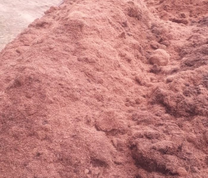 WhatsApp Image 2025-12-02 at 16.58.12_05276c00