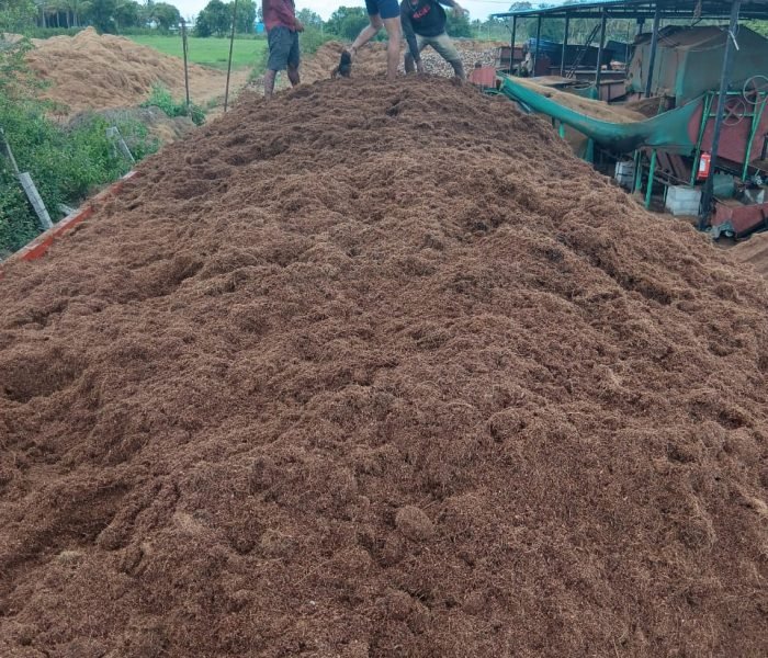 WhatsApp Image 2025-12-02 at 16.58.32_ede45ad2