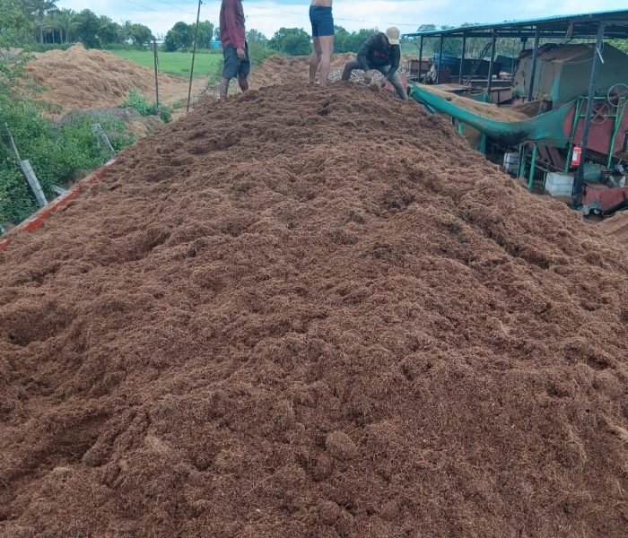 WhatsApp Image 2025-12-02 at 16.58.37_64be0f1a