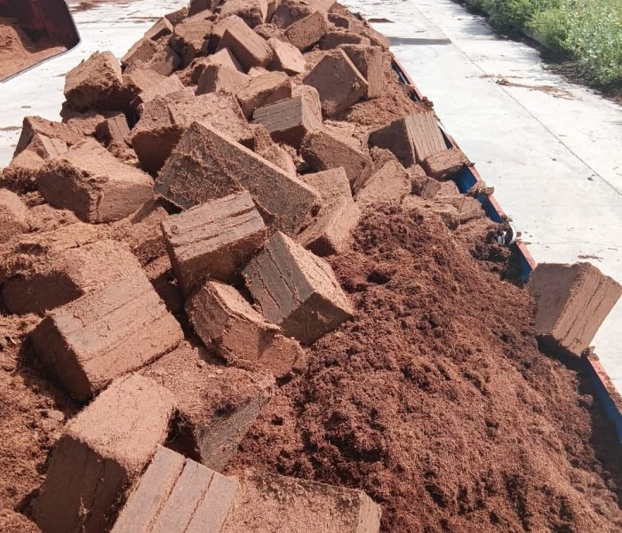 WhatsApp Image 2025-12-02 at 16.58.40_db4297b7