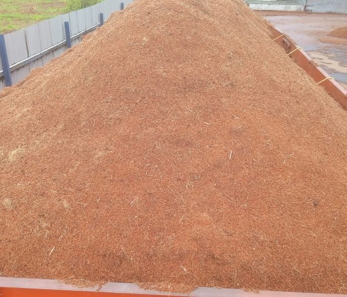 WhatsApp Image 2025-12-02 at 16.58.59_33a00d9d