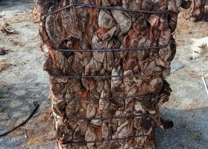 WhatsApp Image 2025-12-02 at 16.59.28_96b9587d