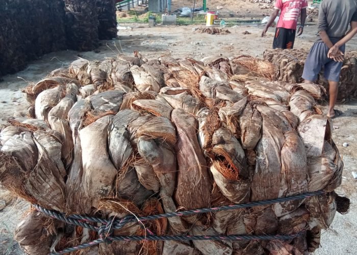 WhatsApp Image 2025-12-02 at 16.59.31_2db458e5