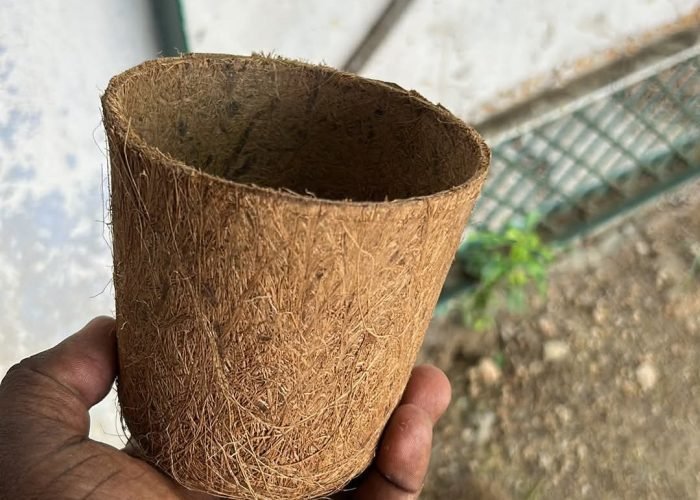 WhatsApp Image 2025-12-02 at 16.59.34_45bd8887